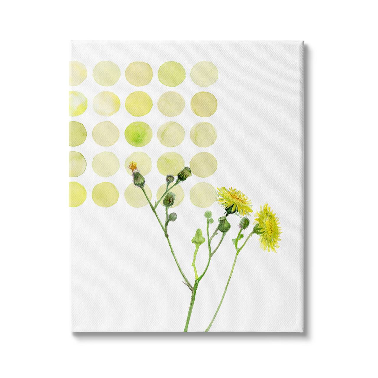 Stupell Industries Dandelion Flowers under Abstract Summer Circles Floral Painting Canvas Wall Art